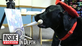 image for Inside Edition: In Depth - Dog That Failed Service Training Makes $1,000s With Artwork