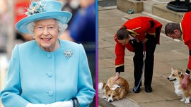 image for Queen Elizabeth's Corgis Are Aware of Her Death, Dog Trainer Says