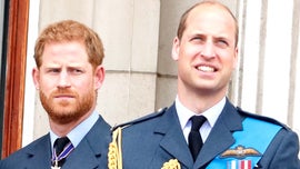 image for Prince William & Harry's Kids Don't Have a Relationship, Expert Says