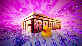 image for Big Brother 25th Season Premiere Preview