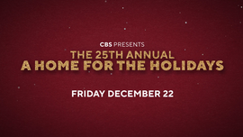 image for 25th Annual A Home for the Holidays Preview